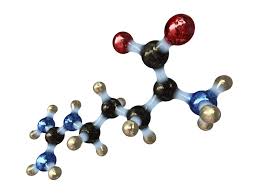 Amino Acid
