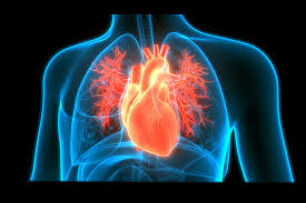 Heart Health